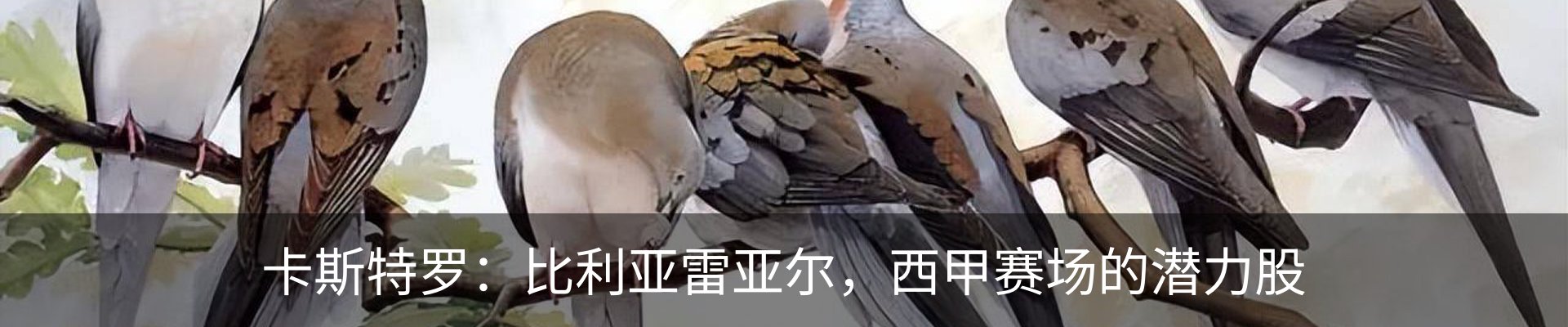 新闻动态